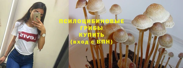Альфа ПВП Киров