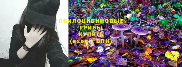 ПСИЛОЦИБИНОВЫЕ ГРИБЫ Покров