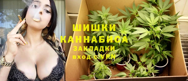 ПСИЛОЦИБИНОВЫЕ ГРИБЫ Покров