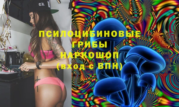 стафф Покровск