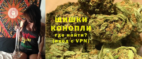 ПСИЛОЦИБИНОВЫЕ ГРИБЫ Покров